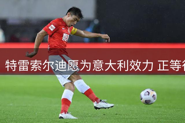 特雷索尔迪愿为意大利效力 正等待FIFA审批